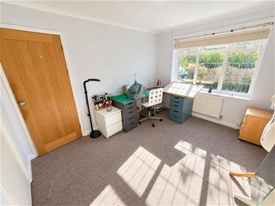 Picture 13